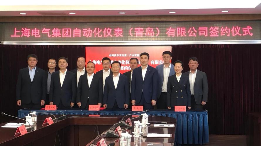 上海自仪仪表